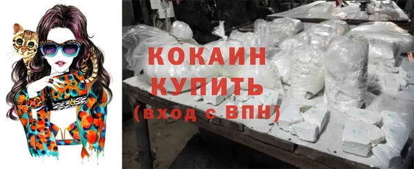 кокс Козельск