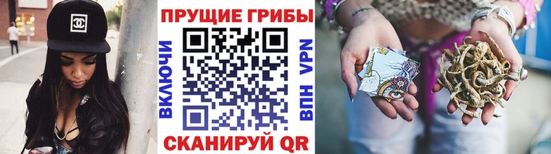 где продают наркотики  Называевск  Галлюциногенные грибы GOLDEN TEACHER 